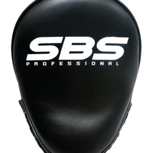 SBS FM-01 Model1 boxing target